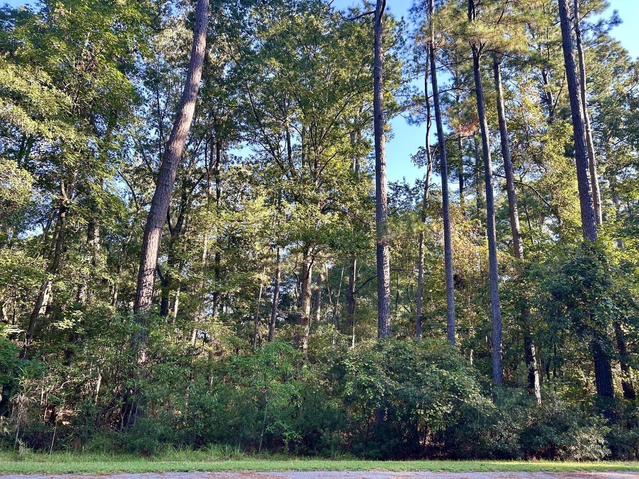 https://bt-photos.global.ssl.fastly.net/charleston/1280_boomver_1_25026149-2.jpg