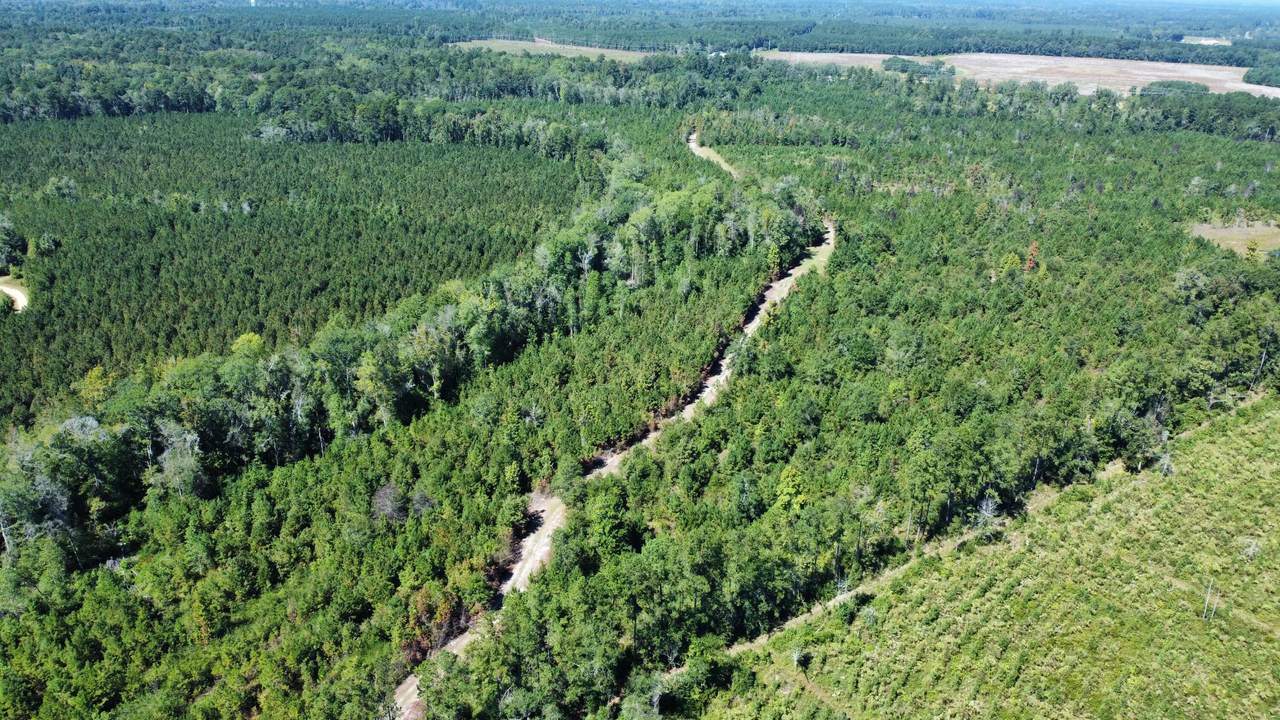 0 Beavers Pass Road - Photo 1