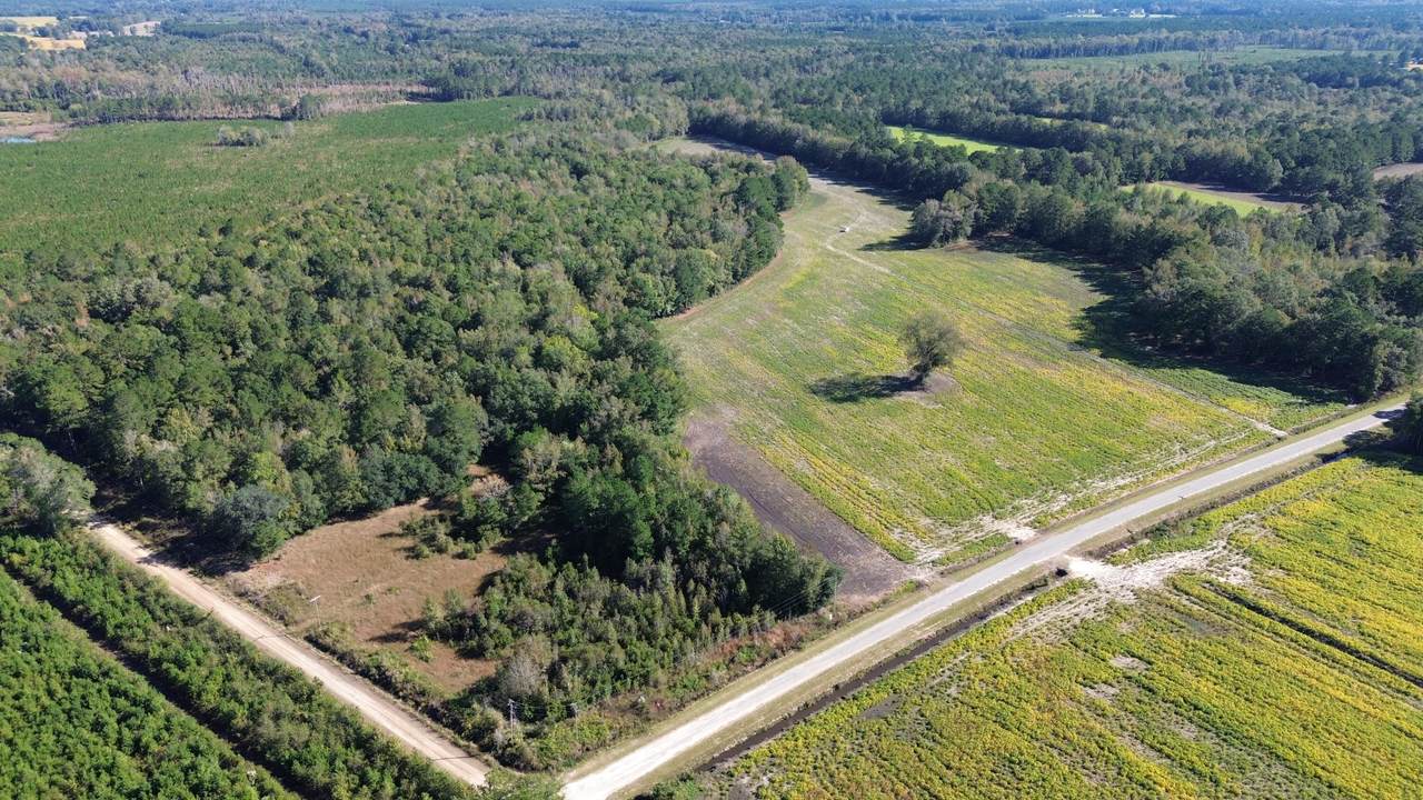 0 Mcgirt Swamp Road - Photo 1