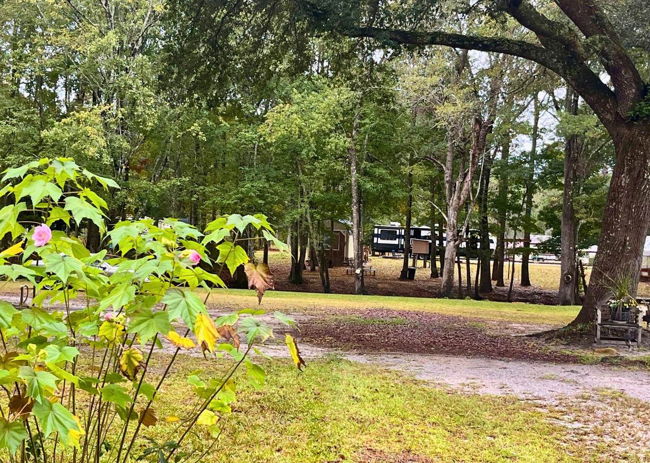 0 Catfish Court - Photo 1