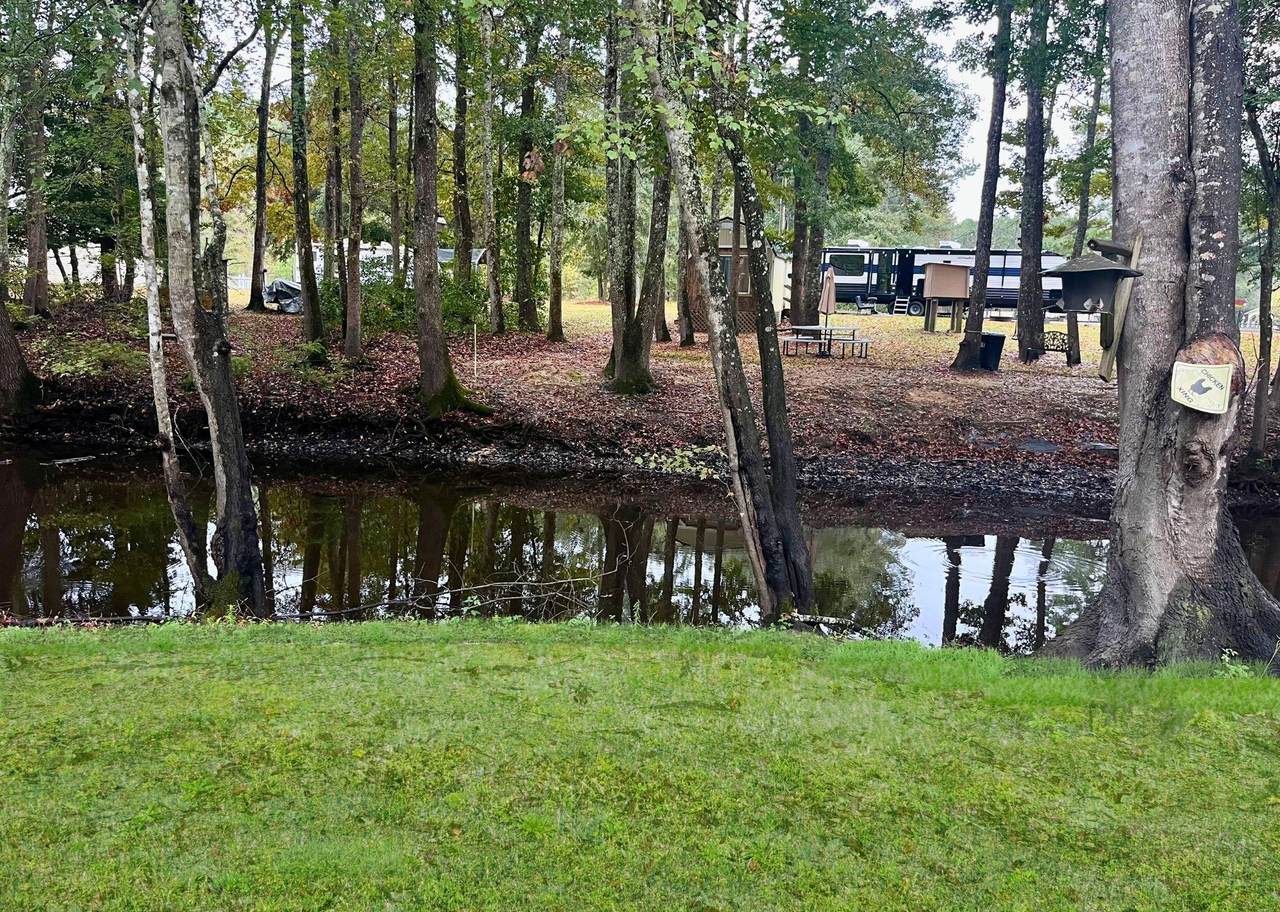 https://bt-photos.global.ssl.fastly.net/charleston/1280_boomver_1_25029095-2.jpg