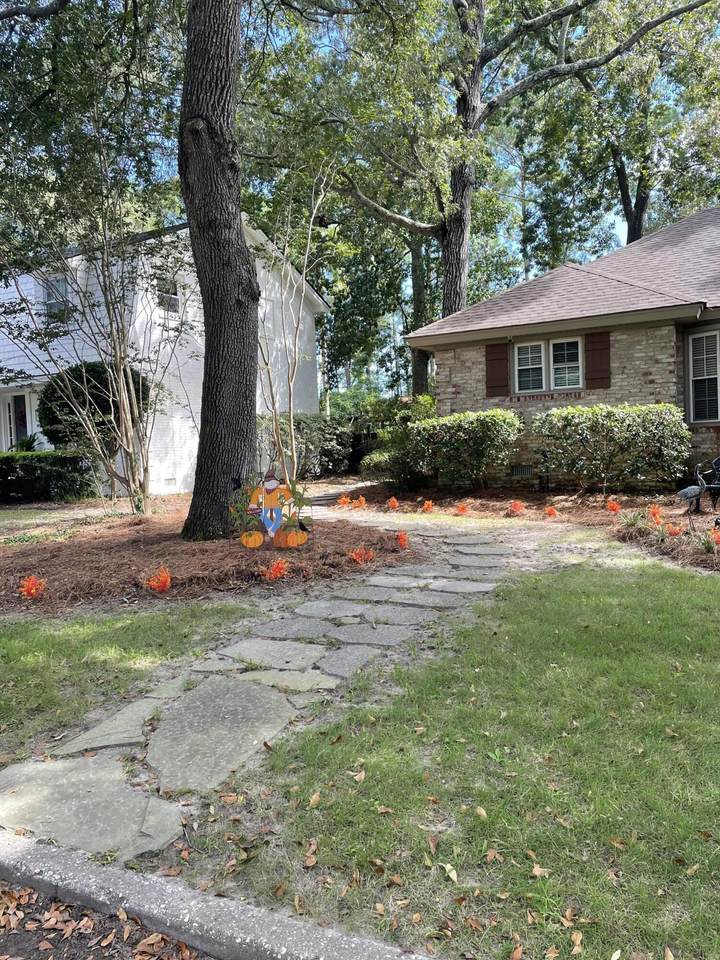 1255 Oldwanus Drive - Photo 1