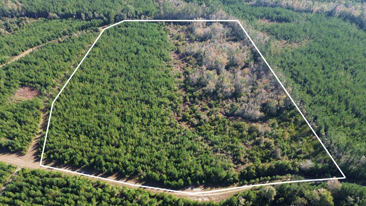 16 Hwy 311 - Photo 1