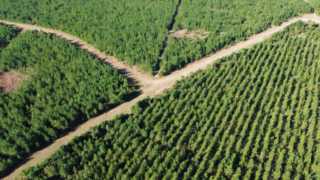 24 Highway 311 - Photo 1