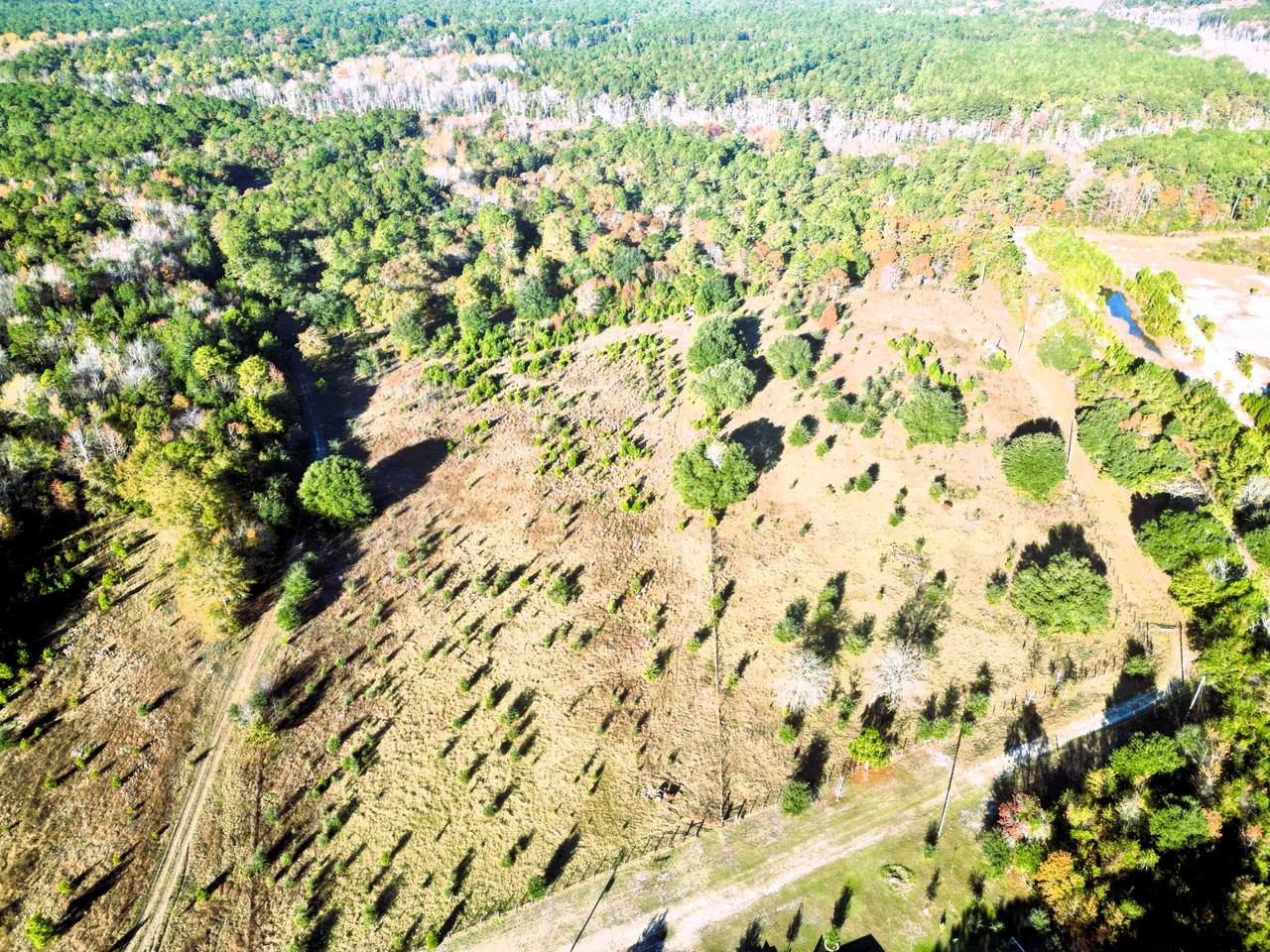 00 Virginia Road - Photo 1