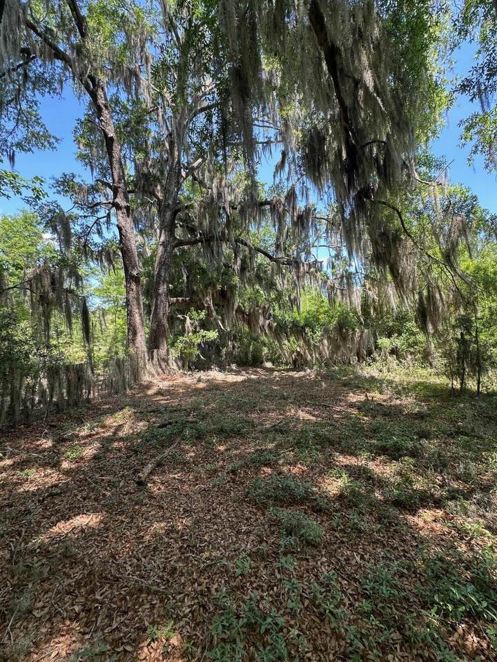 0 Willtown Road - Photo 1