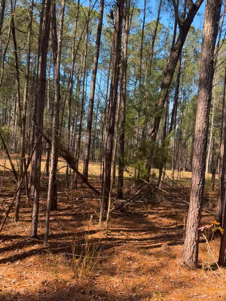 450 River Blf Trail - Photo 1