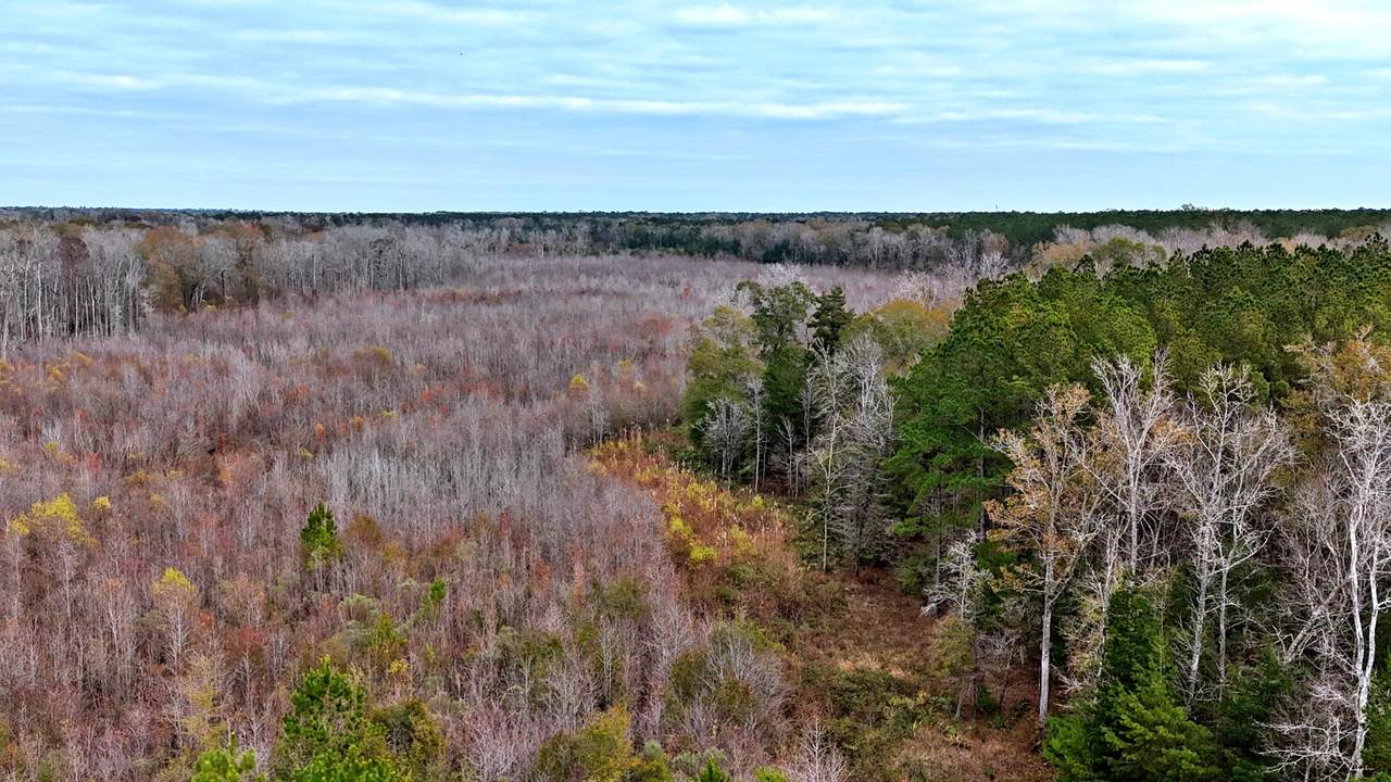 1215 Sandy Run Circle - Photo 1