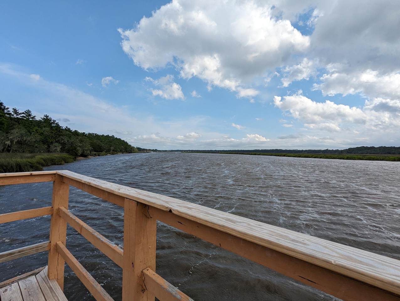 4370 Great Oak Drive - Photo 1