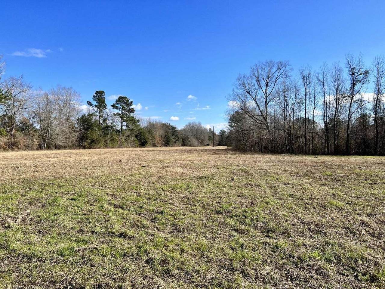 00 Dennis Ridge Road - Photo 1