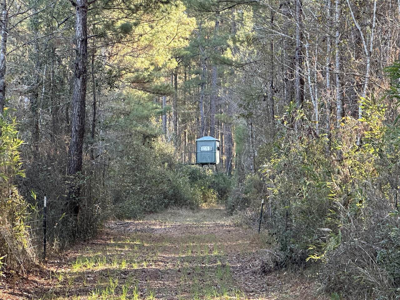 0 Highway 17A - Photo 1