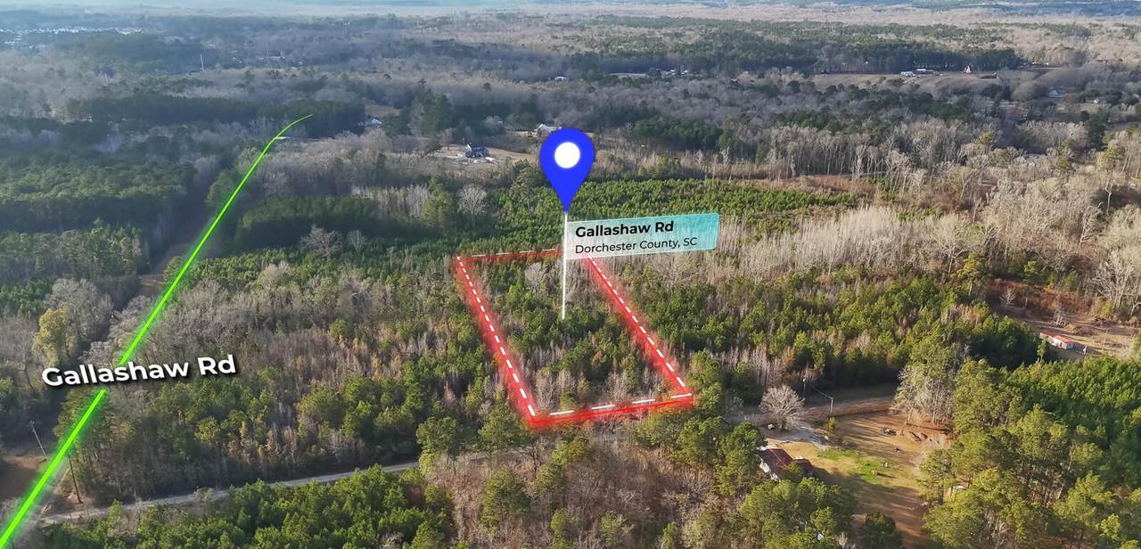 00 Gallashaw Road - Photo 1