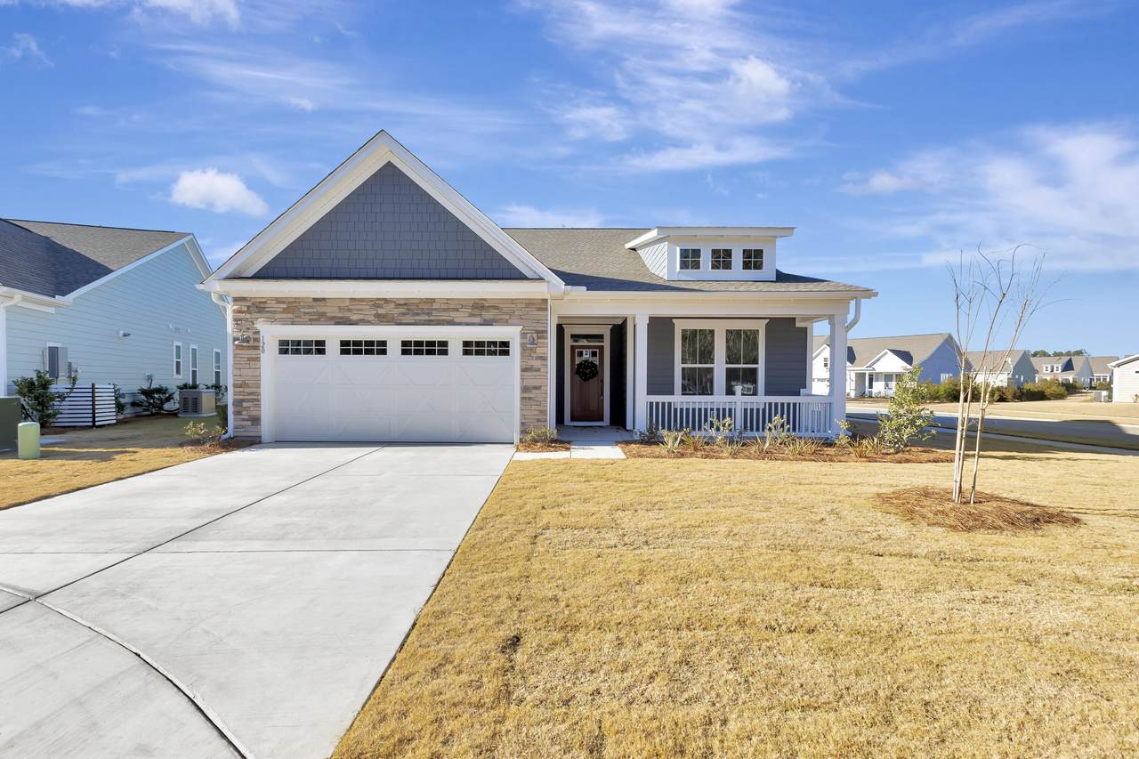 120 Black Stilt Way - Photo 1