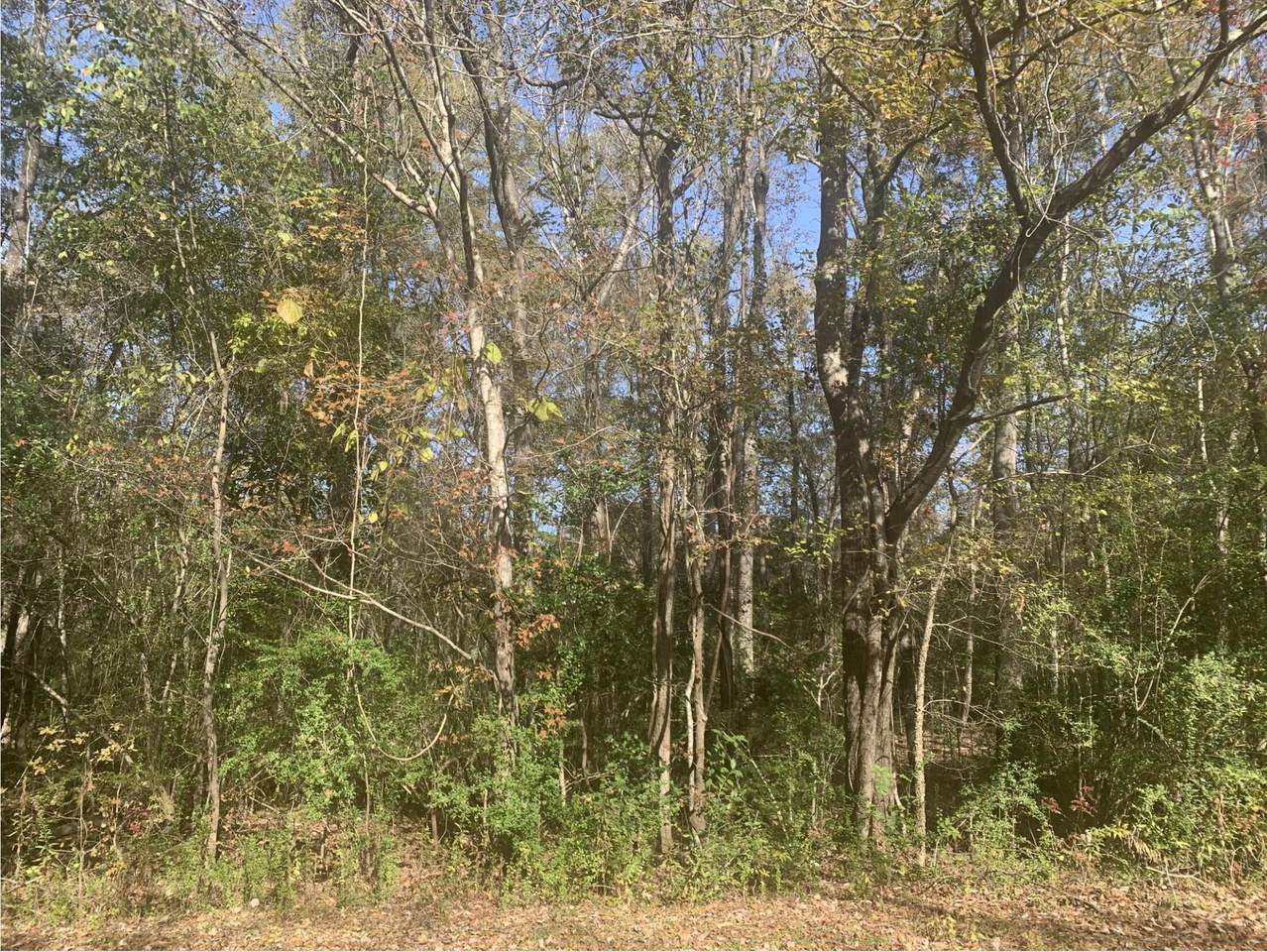 Lot 21 Mary Ellie Drive - Photo 1