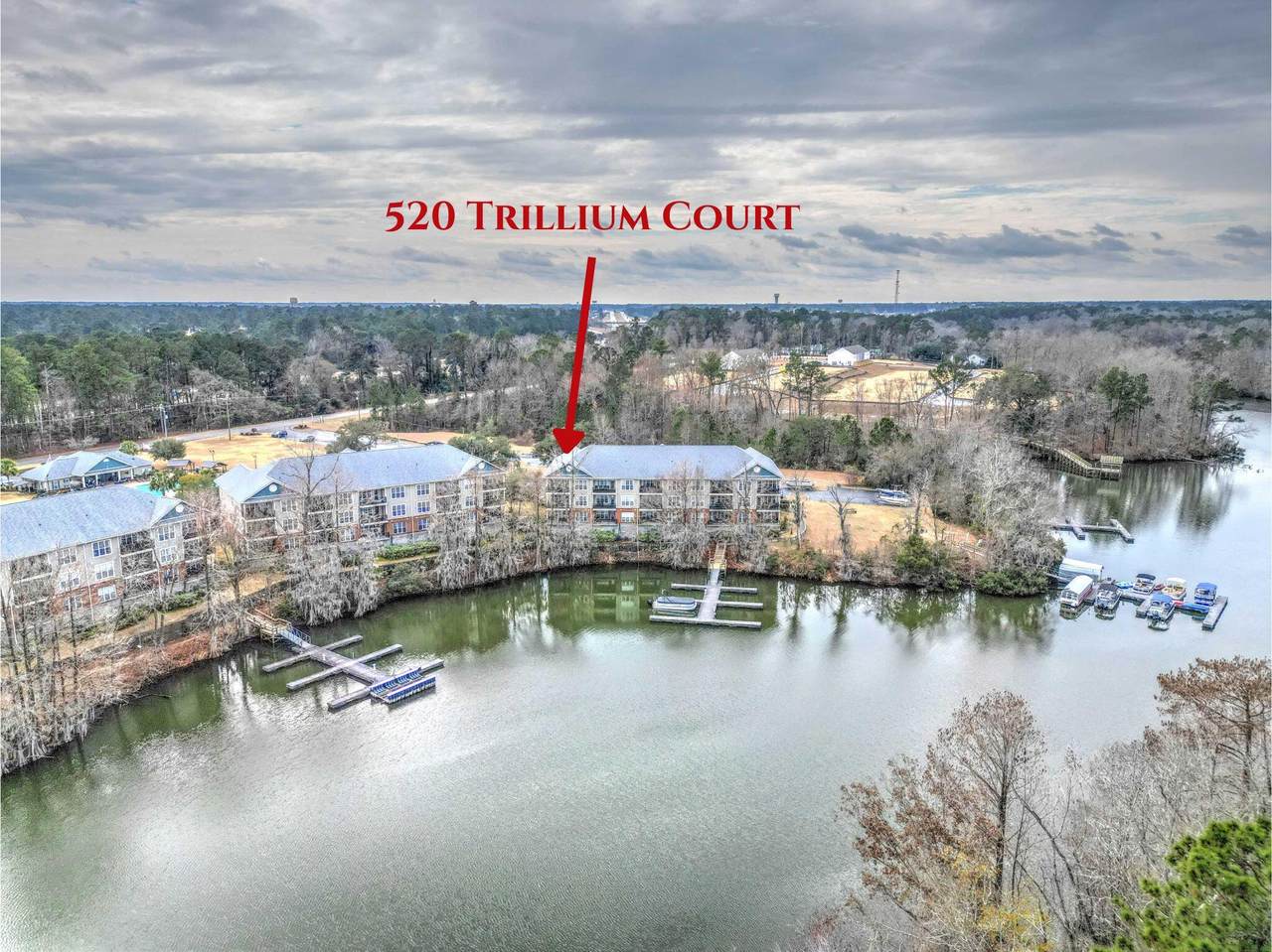 520 Trillium Court - Photo 1