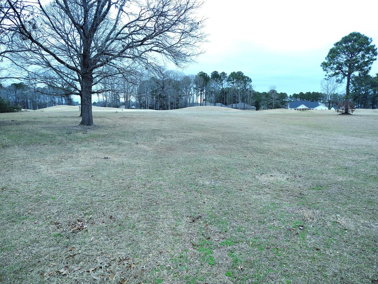 https://bt-photos.global.ssl.fastly.net/charleston/1280_boomver_1_26005631-2.jpg