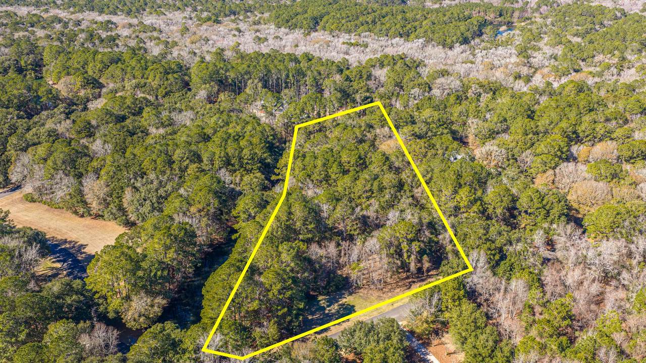 4066 Gnarled Oaks Lane - Photo 1