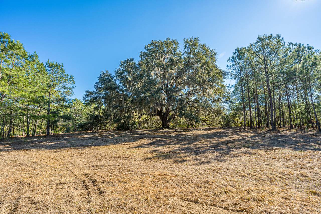 https://bt-photos.global.ssl.fastly.net/charleston/1280_boomver_1_26006821-2.jpg