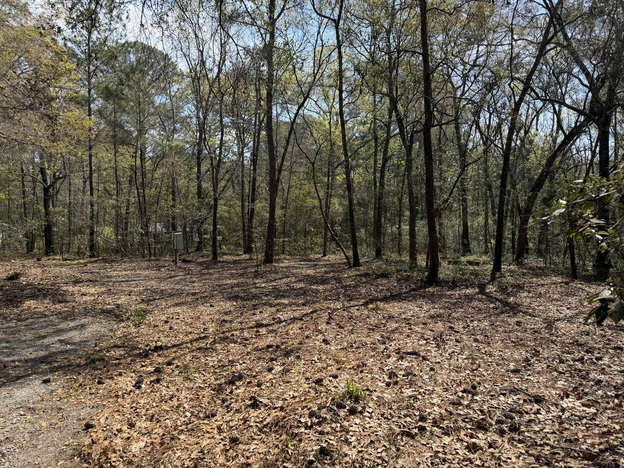 6321 Bears Bluff Road - Photo 1
