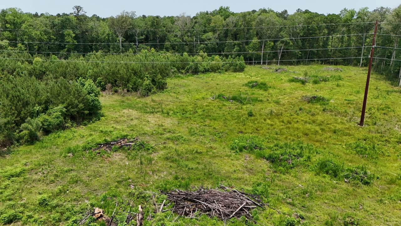 1701 Dawson Branch Road - Photo 1