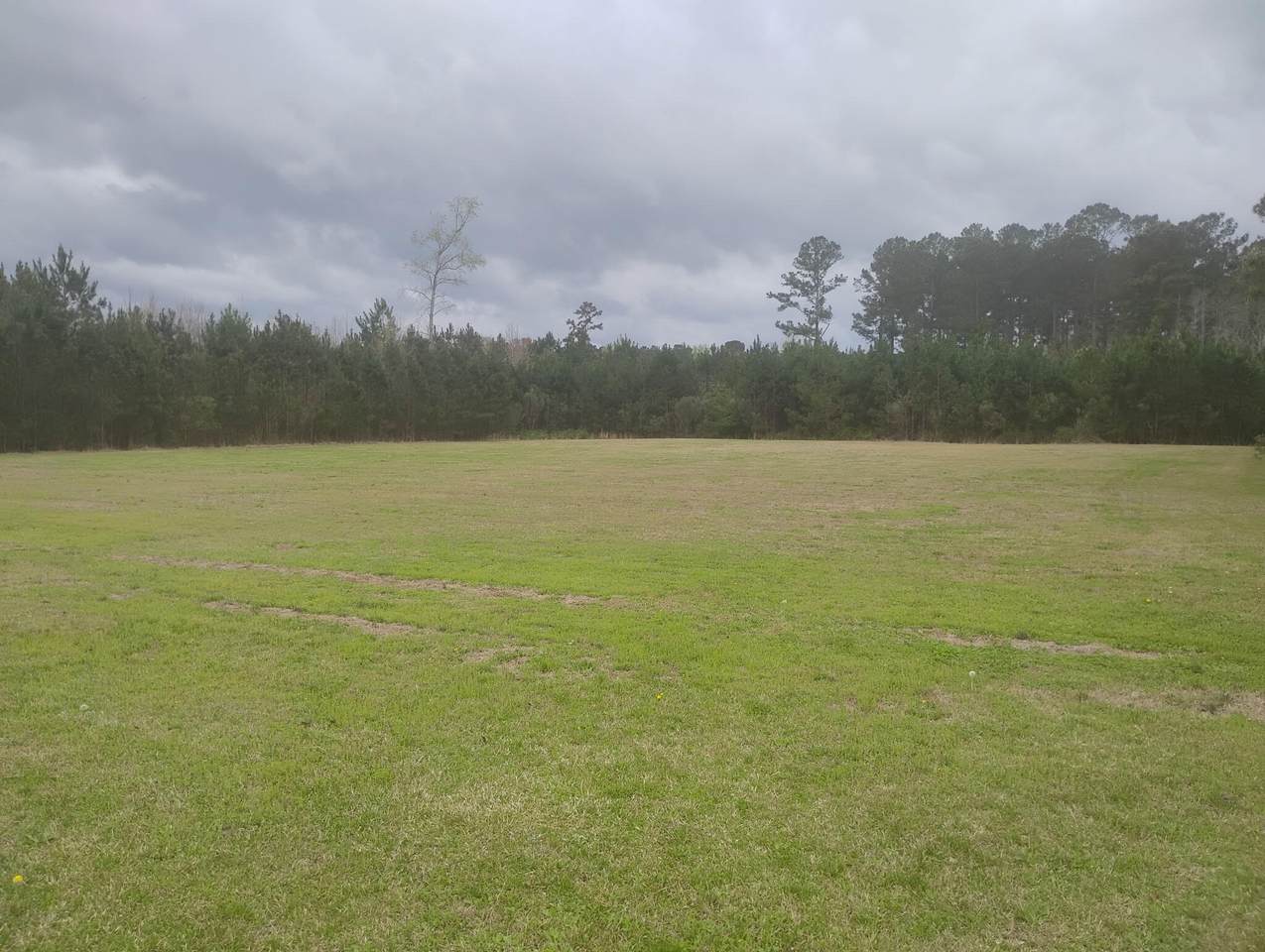 02 Davis Terrace - Photo 1