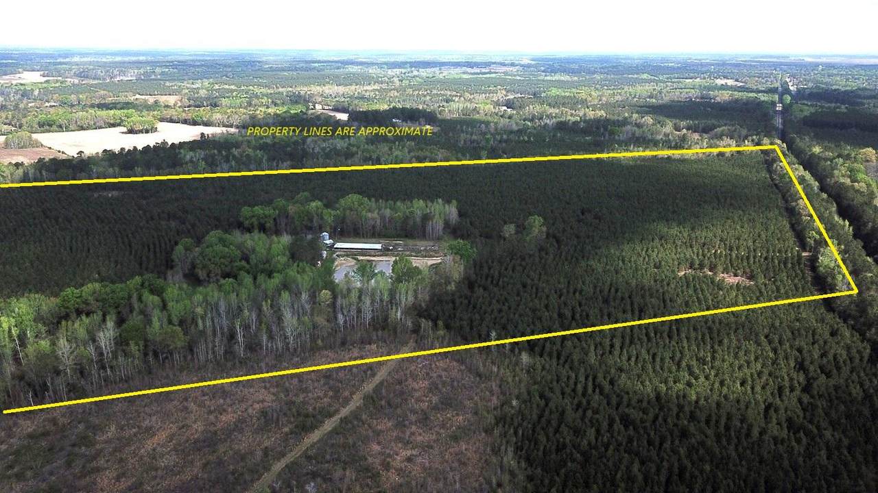 305 Ponderosa Road - Photo 1