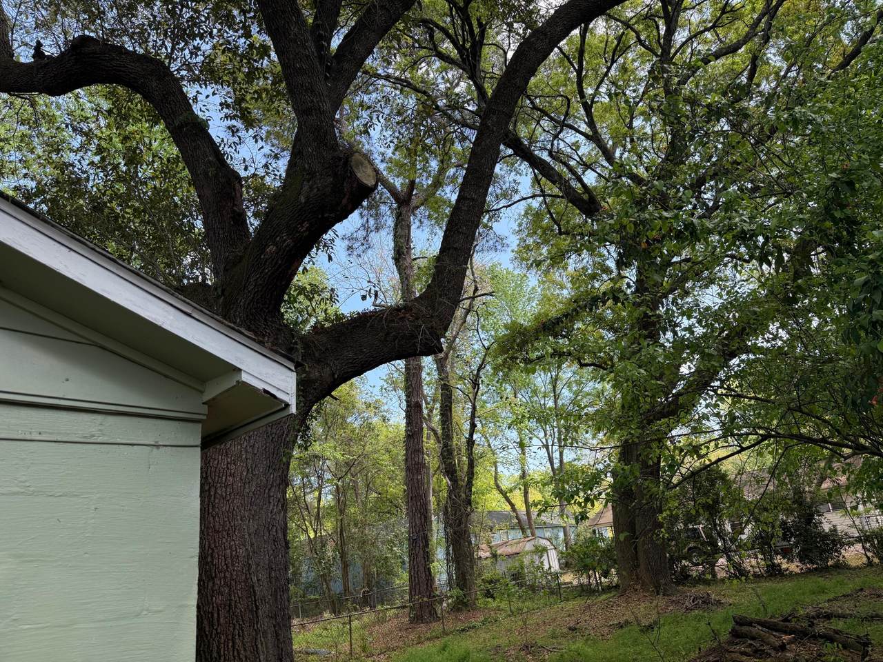 https://bt-photos.global.ssl.fastly.net/charleston/1280_boomver_1_26009688-2.jpg