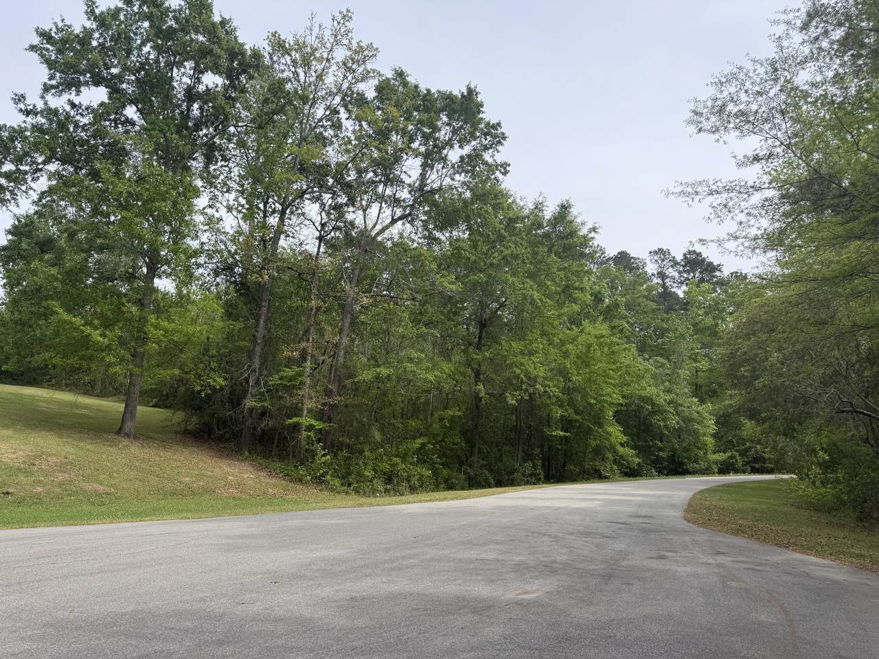 0 Longest Drive - Photo 1