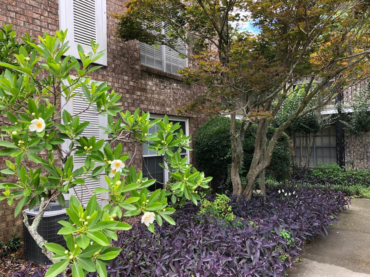 https://bt-photos.global.ssl.fastly.net/charleston/1280_boomver_1_26009993-2.jpg