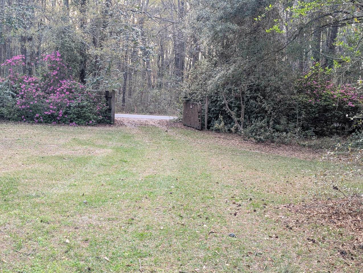 https://bt-photos.global.ssl.fastly.net/charleston/1280_boomver_1_26010067-2.jpg