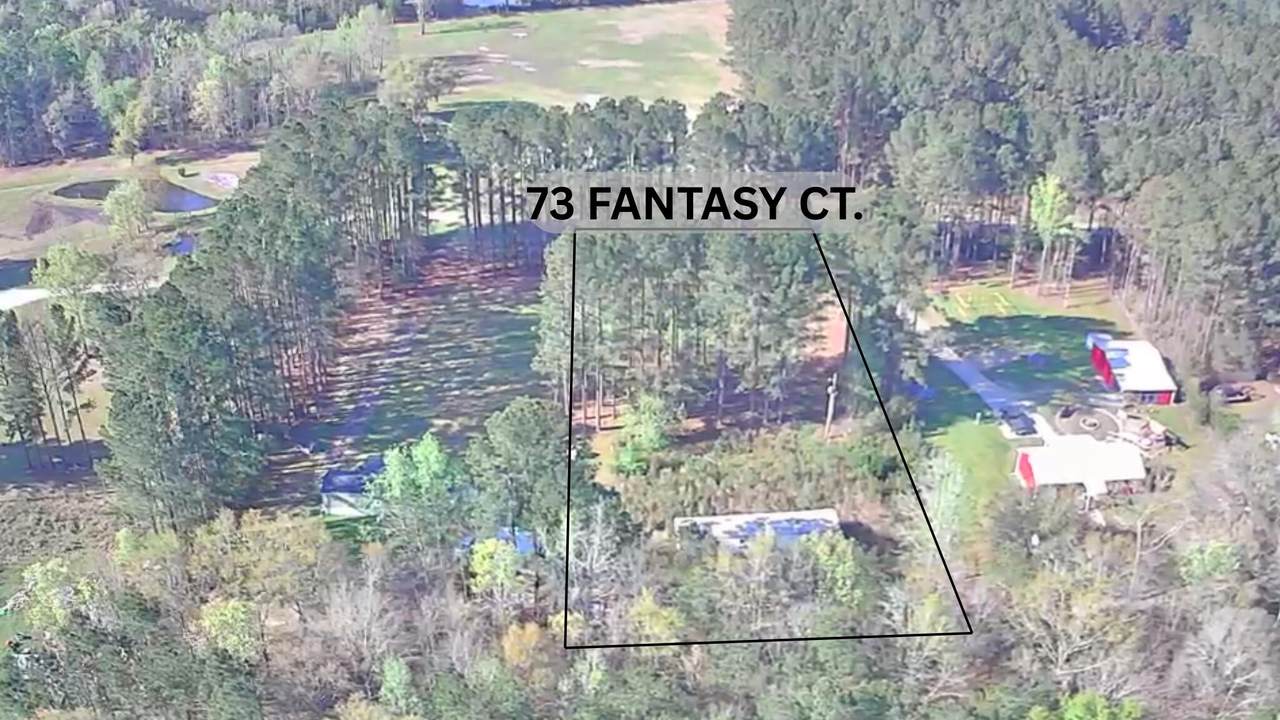 73 Fantasy Court - Photo 1