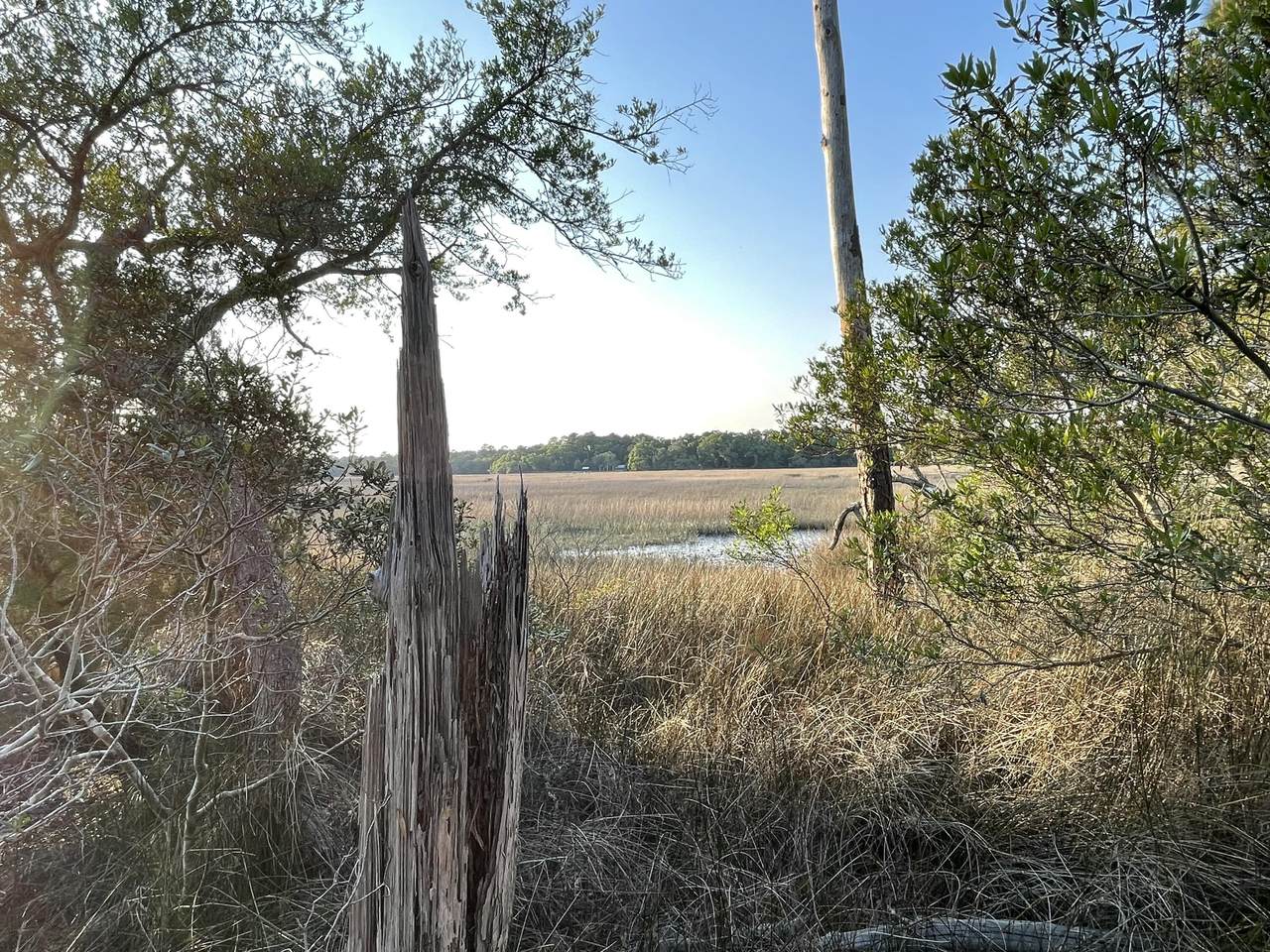 https://bt-photos.global.ssl.fastly.net/charleston/1280_boomver_1_26011720-2.jpg