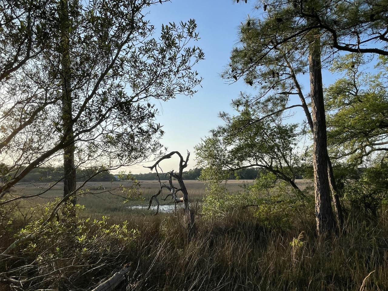 https://bt-photos.global.ssl.fastly.net/charleston/1280_boomver_1_26011720-2.jpg