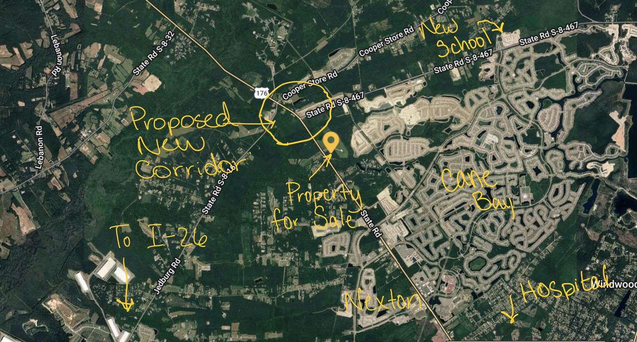 2216 State Road 176 Road - Photo 1