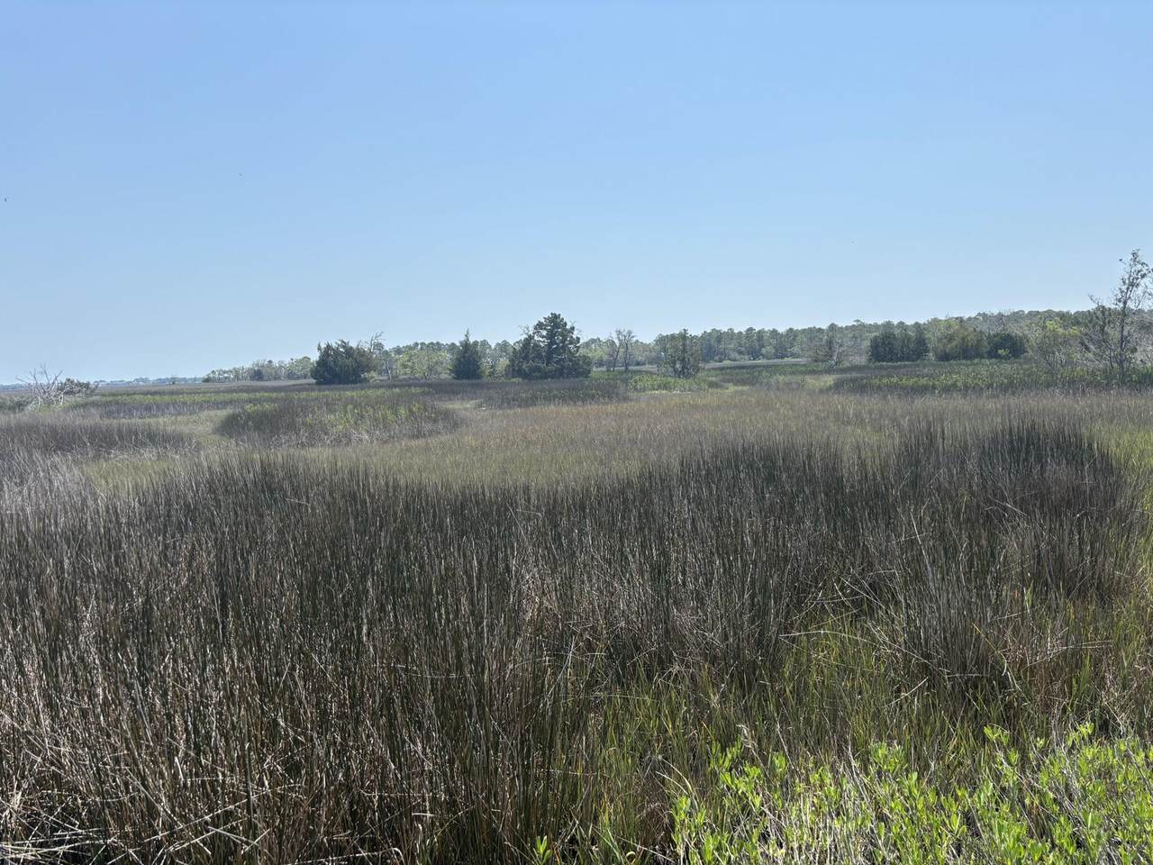 2035 Sol Legare Road - Photo 1