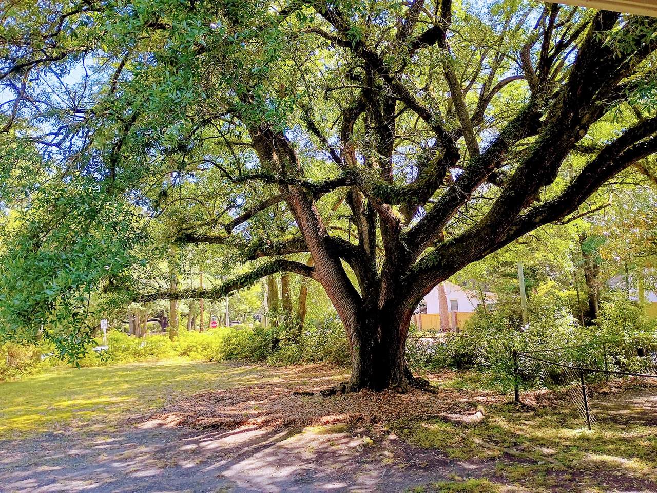 https://bt-photos.global.ssl.fastly.net/charleston/1280_boomver_1_26012735-2.jpg