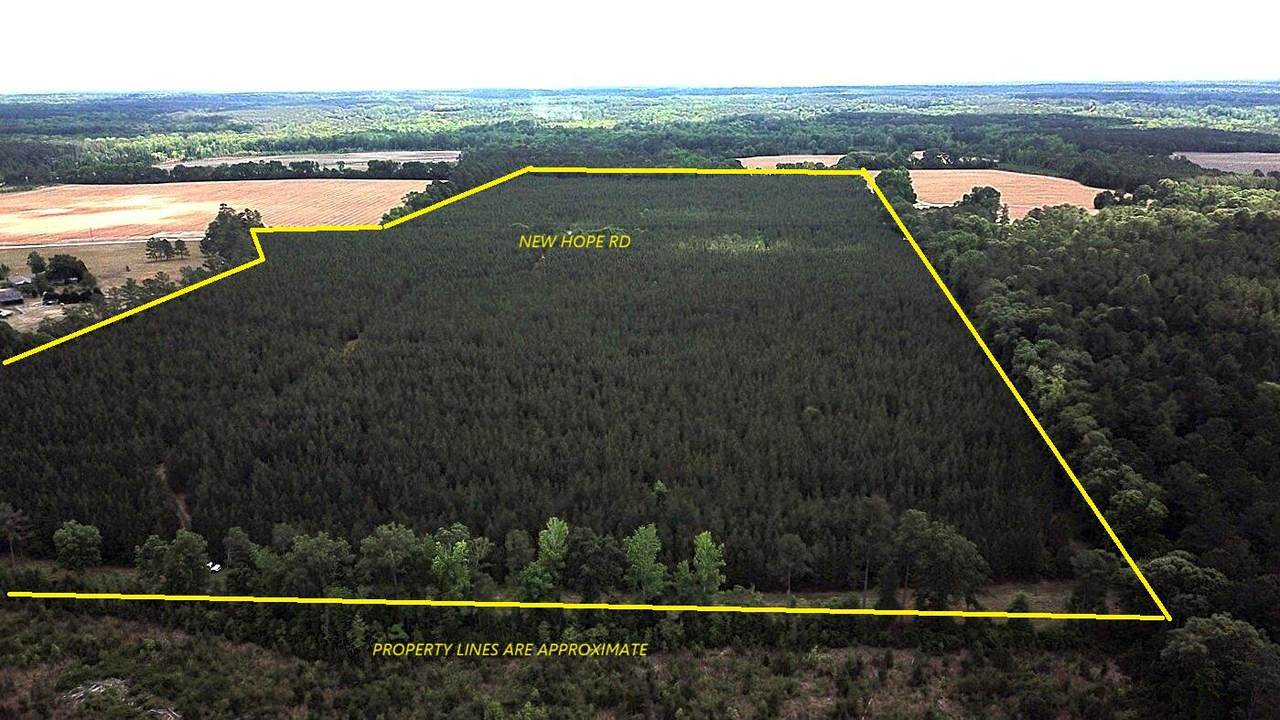00 New Hope Road - Photo 1