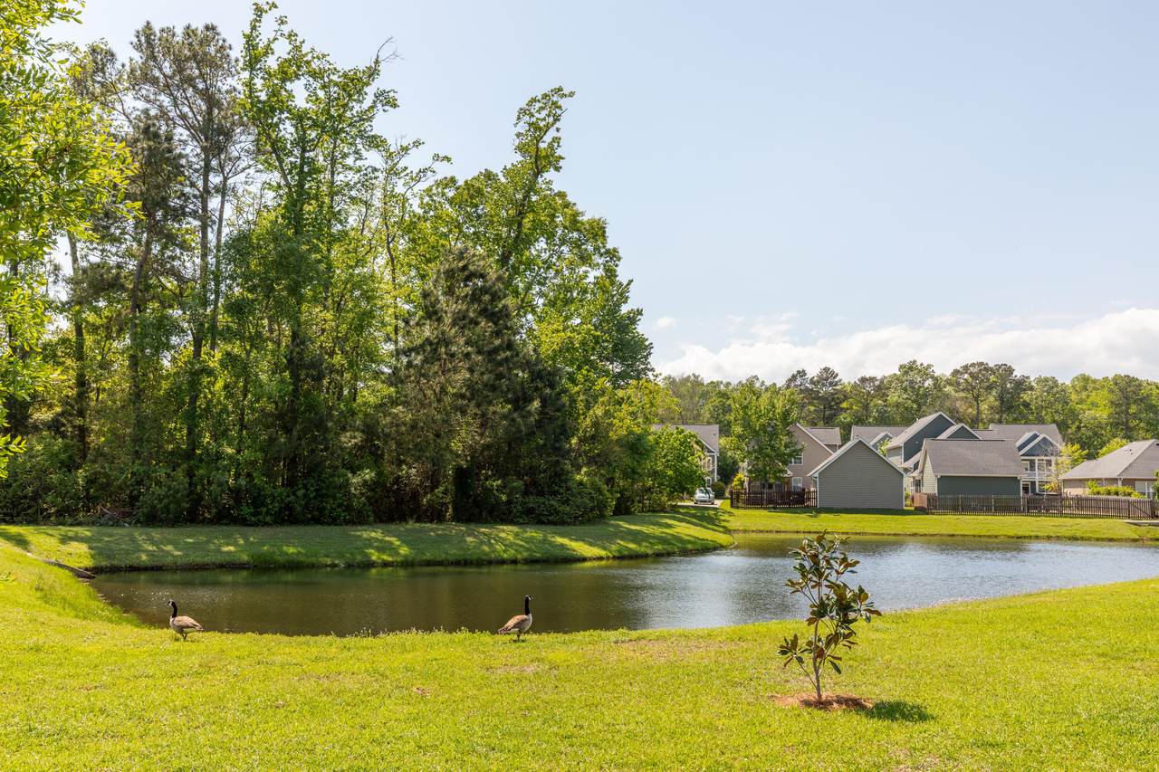 https://bt-photos.global.ssl.fastly.net/charleston/1280_boomver_1_26012959-2.jpg