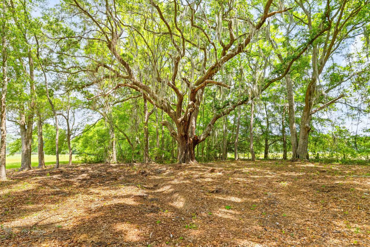 https://bt-photos.global.ssl.fastly.net/charleston/1280_boomver_1_26013794-2.jpg