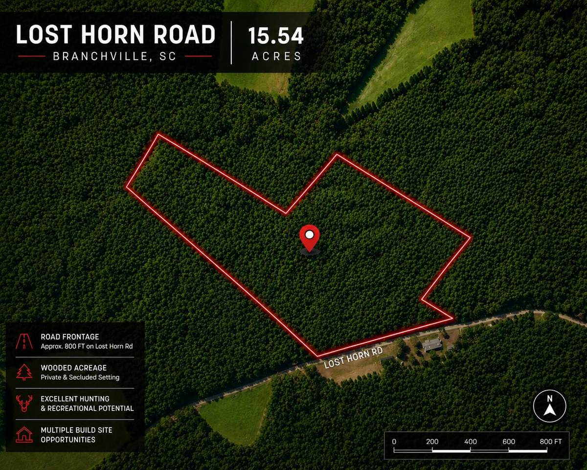 1 Lost Horn Road - Photo 1