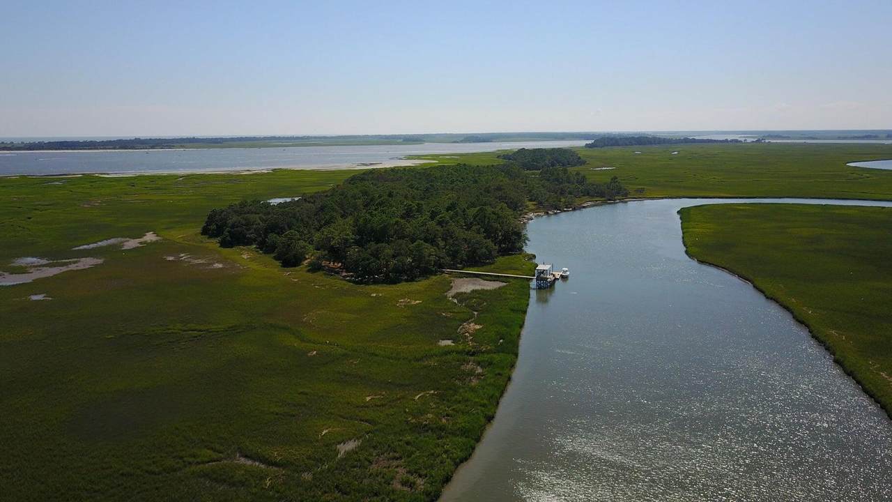 0 Cole Island - Photo 1