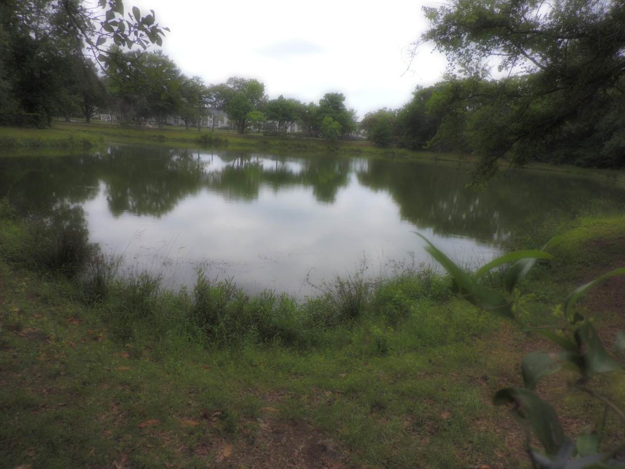 https://bt-photos.global.ssl.fastly.net/charleston/1280_boomver_1_26015594-2.jpg