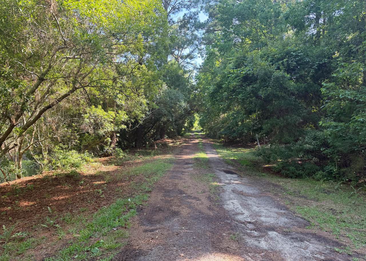 https://bt-photos.global.ssl.fastly.net/charleston/1280_boomver_1_26016078-2.jpg