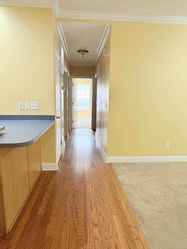 https://bt-photos.global.ssl.fastly.net/charleston/1280_boomver_1_26016342-2.jpg