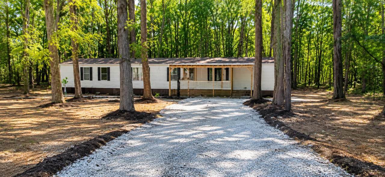 1217 Birch Drive - Photo 1