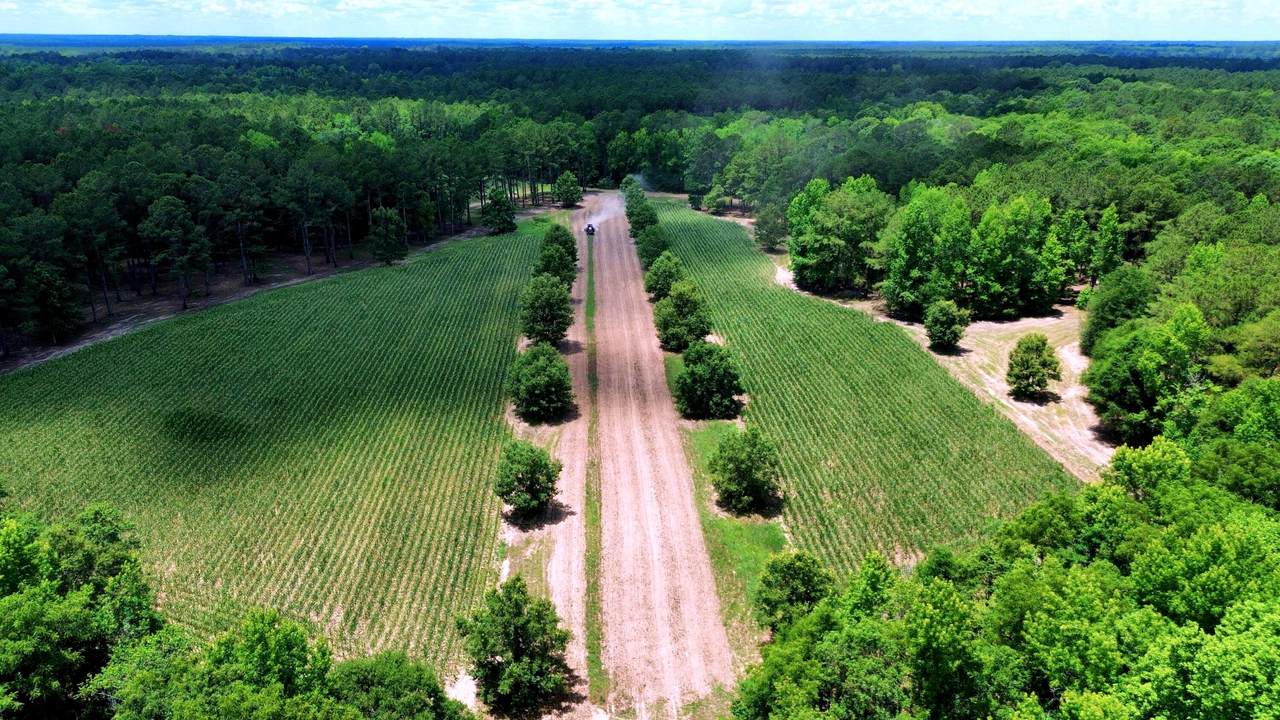 https://bt-photos.global.ssl.fastly.net/charleston/1280_boomver_1_26018118-2.jpg