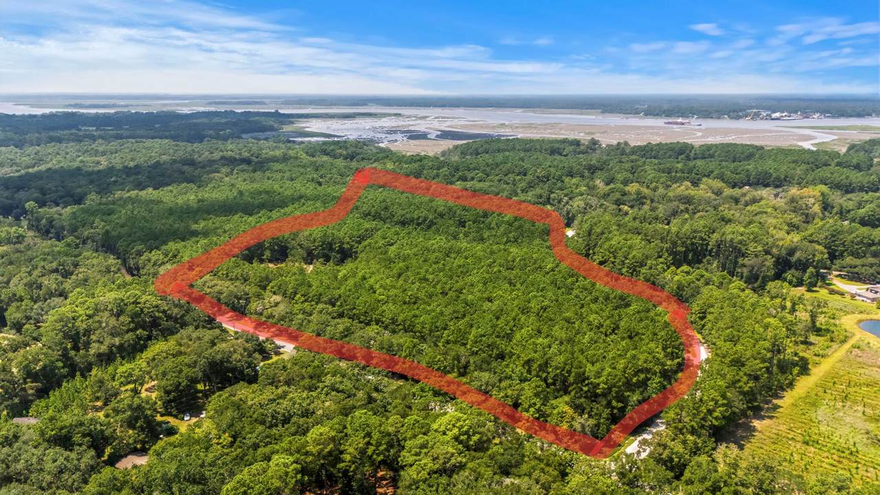1451 Bears Bluff Road - Photo 1