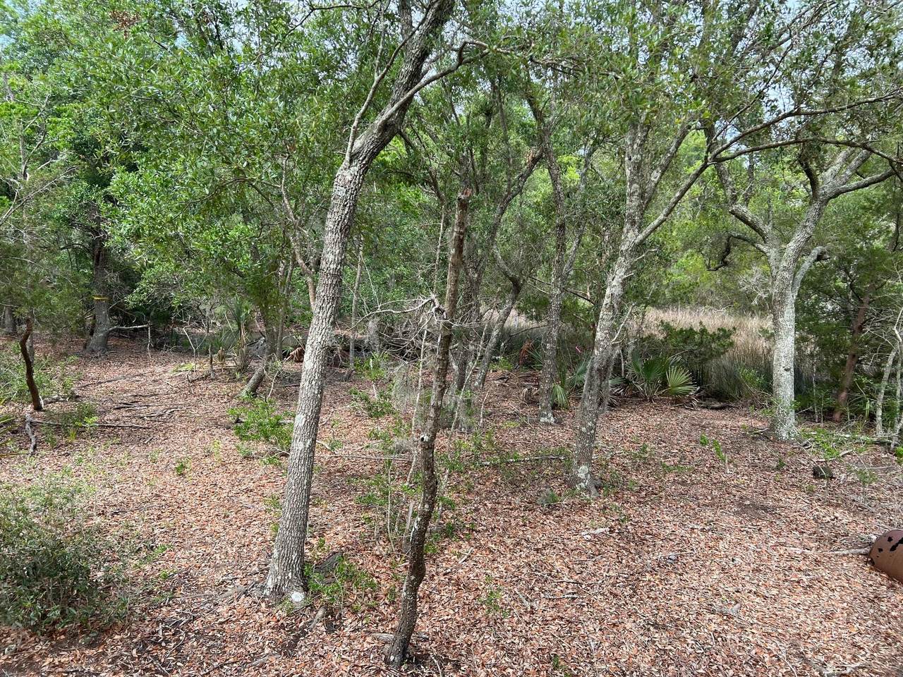 https://bt-photos.global.ssl.fastly.net/charleston/1280_boomver_1_26019069-2.jpg