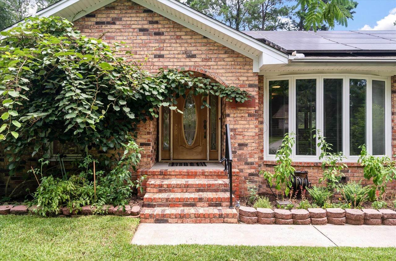 119 Pelican Street - Photo 1