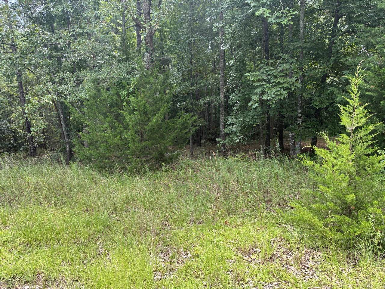 https://bt-photos.global.ssl.fastly.net/charleston/1280_boomver_1_26021089-2.jpg